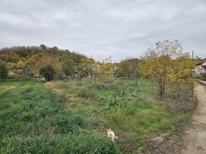 750 mp la 10 min de oras - imagine 4