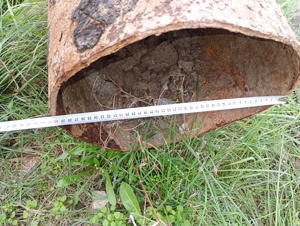 tub fier  - imagine 2