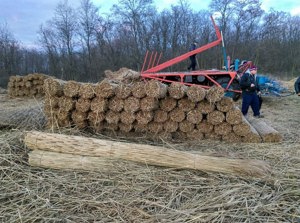 Utilaje Seiga pentru recoltare stuf - imagine 2