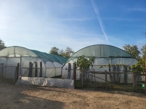 vand 2 solarii folosite doar un an - imagine 4