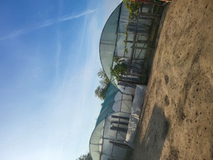 vand 2 solarii folosite doar un an - imagine 3