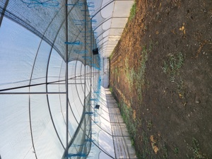 vand 2 solarii folosite doar un an - imagine 2