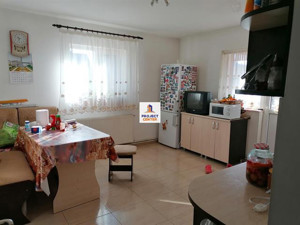 Vila 8 camere, Bradu - imagine 9