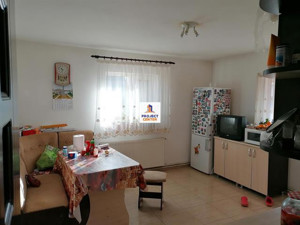 Vila 8 camere, Bradu - imagine 19