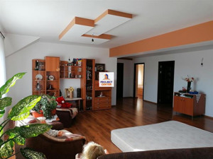 Vila 8 camere, Bradu - imagine 20