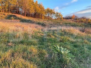  Teren Intravilan 1670 mp, în zona-Copou, Viticultori - imagine 2