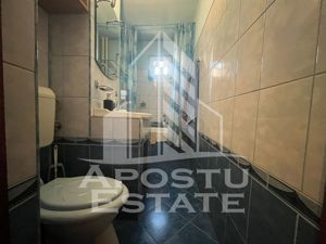 Apartament cu 2 camere, semidecomandat,  etaj intemediar, Sagului - imagine 7