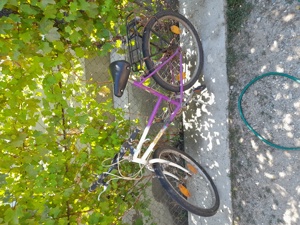 Biciclete Germania  - imagine 2