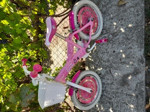 Biciclete Germania  - imagine 3