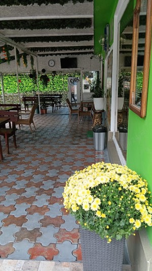 Vand pensiune si hotel la DN7 E81 Pitesti- Rm. Valcea, teren 4ha, 25 euro mp - imagine 13