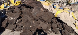 Carbune Lignit ,Lemne  foc - imagine 1