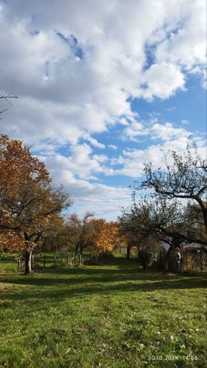 Teren la munte - malu cu flori.