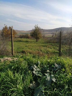 Nicolae Balcescu - Tulcea, teren cu deschidere 27 ml la drum national