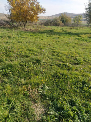 Nicolae Balcescu - Tulcea, teren cu deschidere 27 ml la drum national - imagine 2