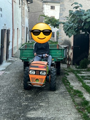 Motoagricola Goldoni - imagine 7