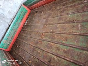 Motoagricola Goldoni - imagine 3