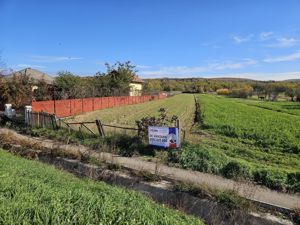 Teren de vânzare - 4000 mp stradal, DN73 Pitești - Câmpulung - imagine 10