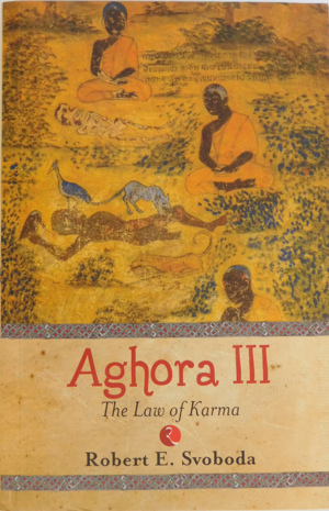 Aghora Trilogy - Robert Svoboda - imagine 3