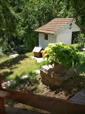 Vând casa cu cabana si 10 hectare de teren lângă Dunăre  - imagine 3