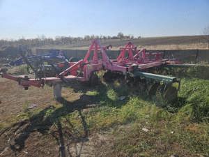 Disc Vogel Noot - imagine 3