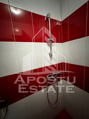 Apartament cu 2 camere in zona Balcescu, centrala termica - imagine 8