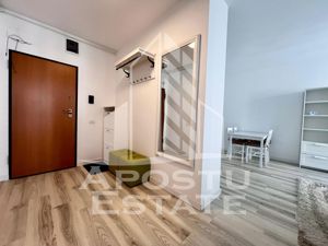 Apartament 2 camere, centrala proprie, loc de parcare, zona Torontal - imagine 9