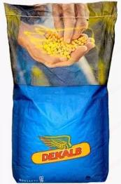 vindem samanta seminte porumb DEKALB 2026