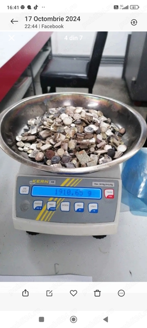 argint industrial pastile  - imagine 3