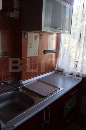 Apartament 3 camere, zona Corneliu Coposu - imagine 8