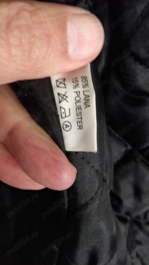 Pardesiu gros - imagine 3