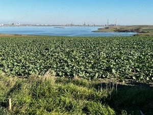 Teren de vânzare cu vedere la lacul Tașaul 