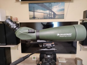 Luneta terestra Celestron Regal M2 100 ED