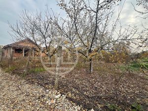 Teren si casa la rosu de vanzare in Biharia, Bihor - imagine 11