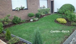 Plante ornamentale peisagistica