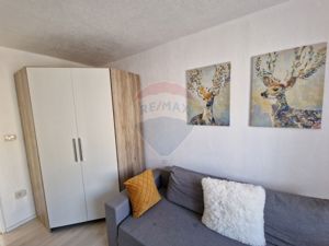 Apartament 2 camere de inchiriat în zona centrala Gradiste - imagine 4