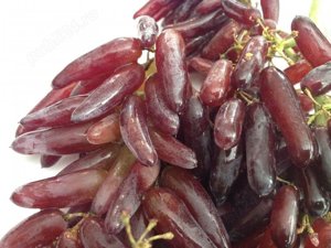 Butasi Vie Soiul Halloween Si Alte Soiuri In Comentariu