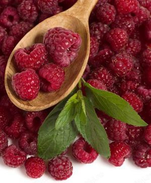 Drajoni Zmeura Soiul Opal Si Alte Soiuri In Comentariu