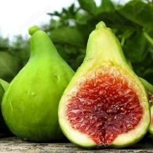 Butasi Smochin Verde Si Alte Soiuri In Comentariu