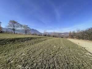 Teren intravilan zona Bran-Tohanita, judetul Brasov intre 500 si 1000 mp la 5 km de Moieciu  - imagine 5