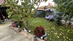 Casa de vanzare zona Piata Noua - imagine 8