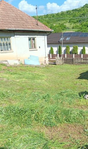 Casă, curte și grădină de vânzare, Ceuașu de Câmpie - imagine 4