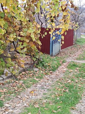 Vand casa su gradina , Baiceni , Judetul Iasi  - imagine 4