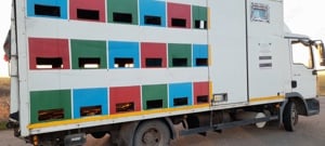 Vand camion apicol+36 familii albine