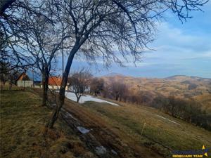 Oaza de liniste si frumusete, reconectare cu natura, 16.000 mp, Poiana Marului - imagine 19