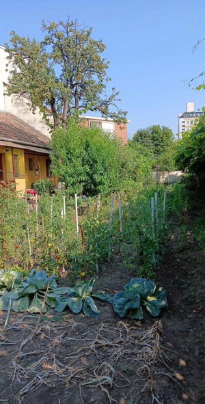 Particular persoana fizica vand casa cu teren de 745 mp in orasul Targu Mures  - imagine 10