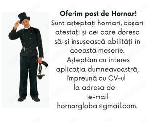 Oferim post de Hornar!