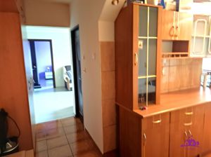 Apartament Nufaru - imagine 2