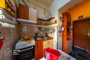 Rar pe piata! Casa individuala, 2 apartamente, fatada renovata, zona Teatru - imagine 8