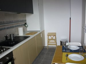 Inchiriere Apartament Parcul Carol, Bucuresti - imagine 5