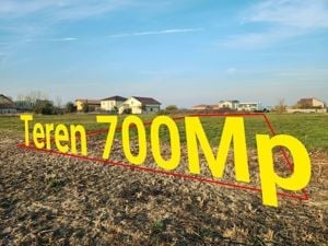 Teren 700mp in Timisoara